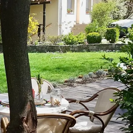 Vanilla Timisoara