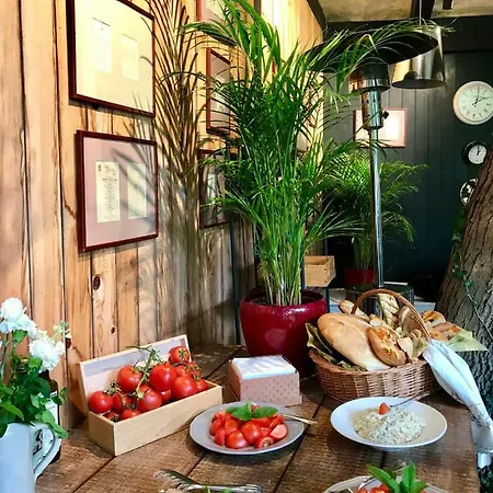 Vanilla 3* Timisoara