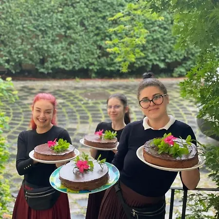 Vanilla 3* 티미쇼아라