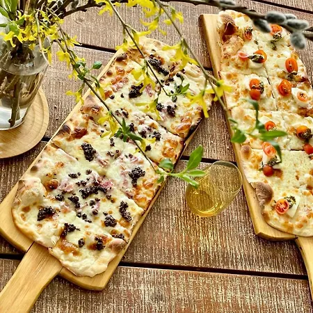 Vanilla 티미쇼아라