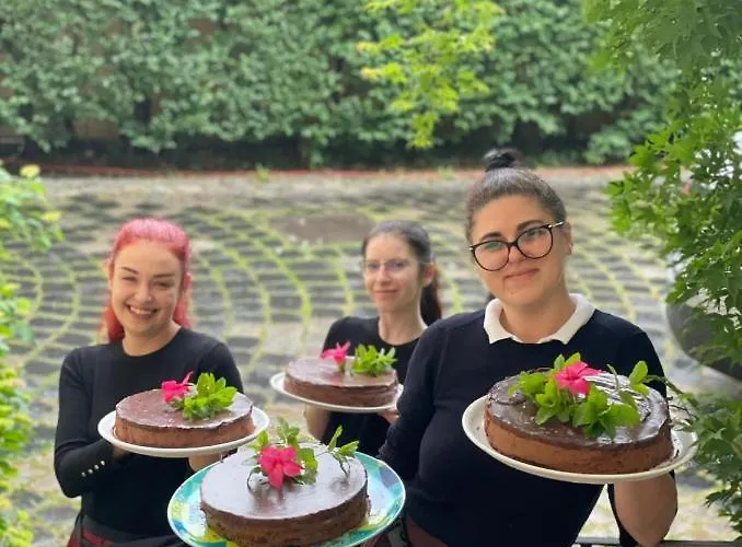 Vanilla 3* טימישוארה